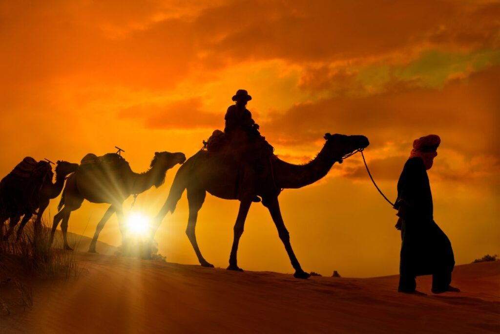 Camel trekking in Morocco
