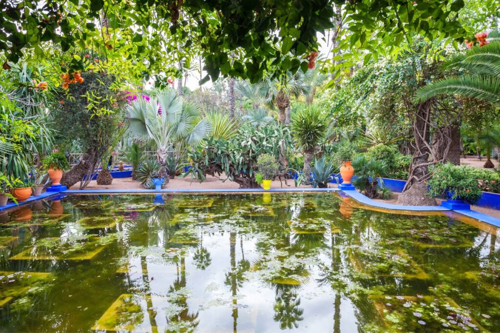The Best 5 Morocco Gardens