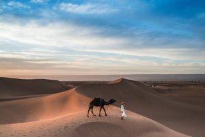 Holidays in Morocco: 3 travel deals