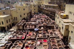 What can you do in the Medina of Fes