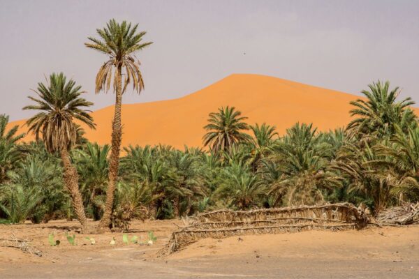 Merzouga Sahara Desert